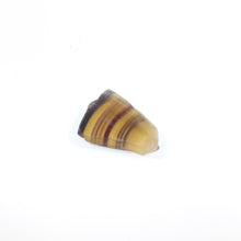 Load image into Gallery viewer, Yellow fluorite crystal slice | ASH&amp;STONE Crystals Shop Auckland NZ
