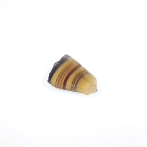 Yellow fluorite crystal slice | ASH&STONE Crystals Shop Auckland NZ