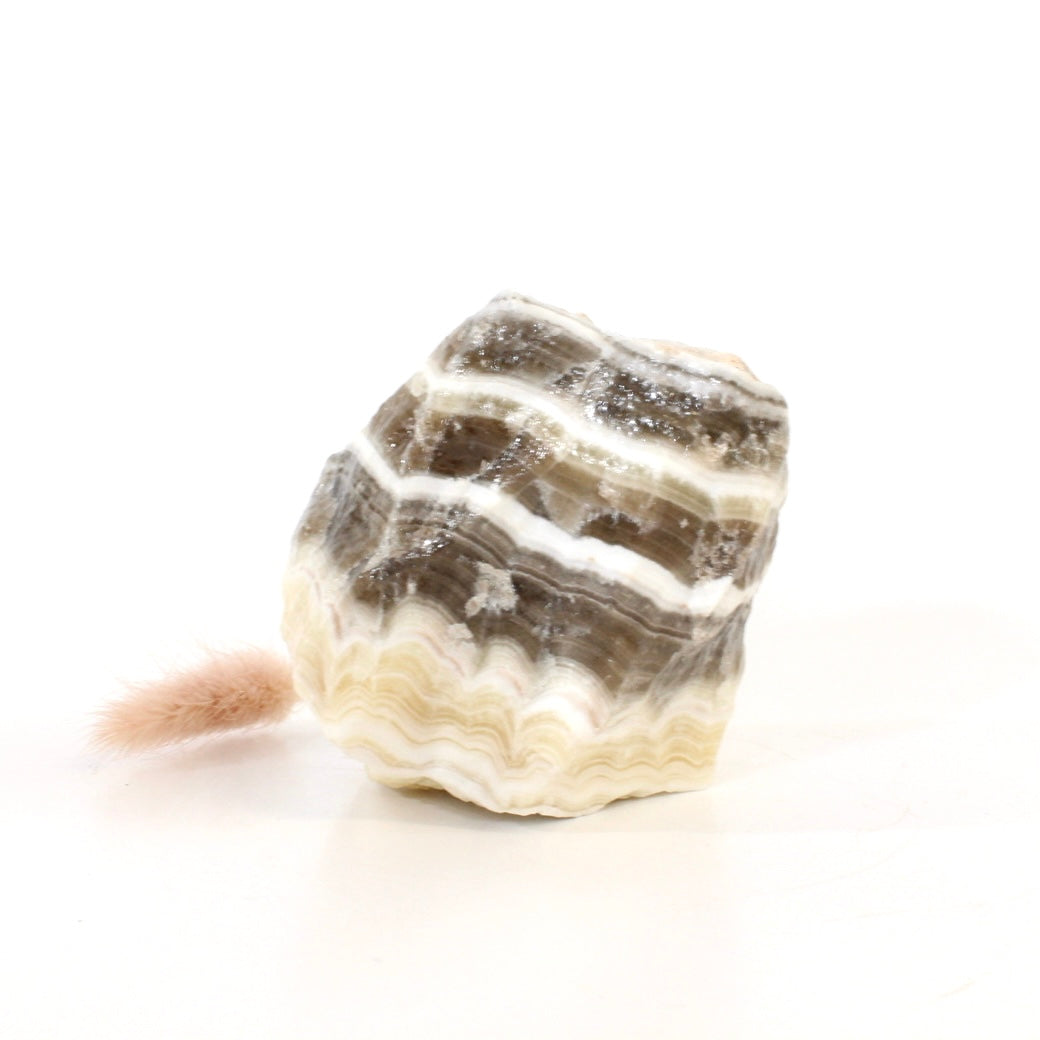 Zebra calcite crystal chunk raw | ASH&STONE Crystals Shop Auckland NZ