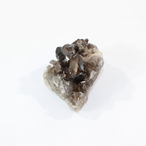 Smoky quartz crystal cluster | ASH&STONE Crystal Shop Auckland NZ