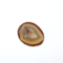 Load image into Gallery viewer, Agate crystal slice | ASH&amp;STONE Crystal Shop Auckland NZ
