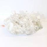 Extra large Lemurian crystal cluster 6.43kg | ASH&STONE Crystals Shop Auckland NZ