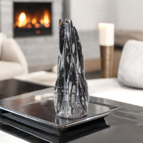 Large black Orthoceras fossilised sculpture | ASH&STONE Crystals Shop Auckland NZ