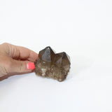 Natural Kundalini Citrine Crystal Point | ASH&STONE premium online crystals, free express shipping NZ