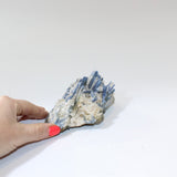 Kyanite Crystal Cluster | ASH & STONE Ethically sourced Crystals, Free express shipping NZ 