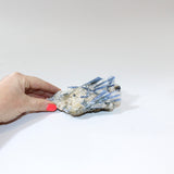 Kyanite Crystal Cluster | ASH & STONE Ethically sourced Crystals, Free express shipping NZ 