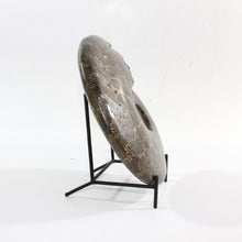 Load image into Gallery viewer, Large polished ammonite fossil with stand 2.55kg | ASH&amp;STONE Crystal Shop Auckland NZ
