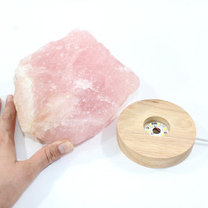 Large AA-Grade rose Quartz crystal on removable lamp base 2.96kg | ASH&STONE Crystal Shop Auckland NZ