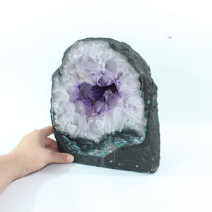 Large amethyst crystal cave 11.5kg | ASH&STONE Crystal Shop Auckland NZ