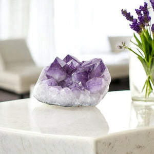 Large high grade+ amethyst crystal cluster with large points 6.75kg | polished edging | ASH&STONE Crystals Shop Auckland NZ