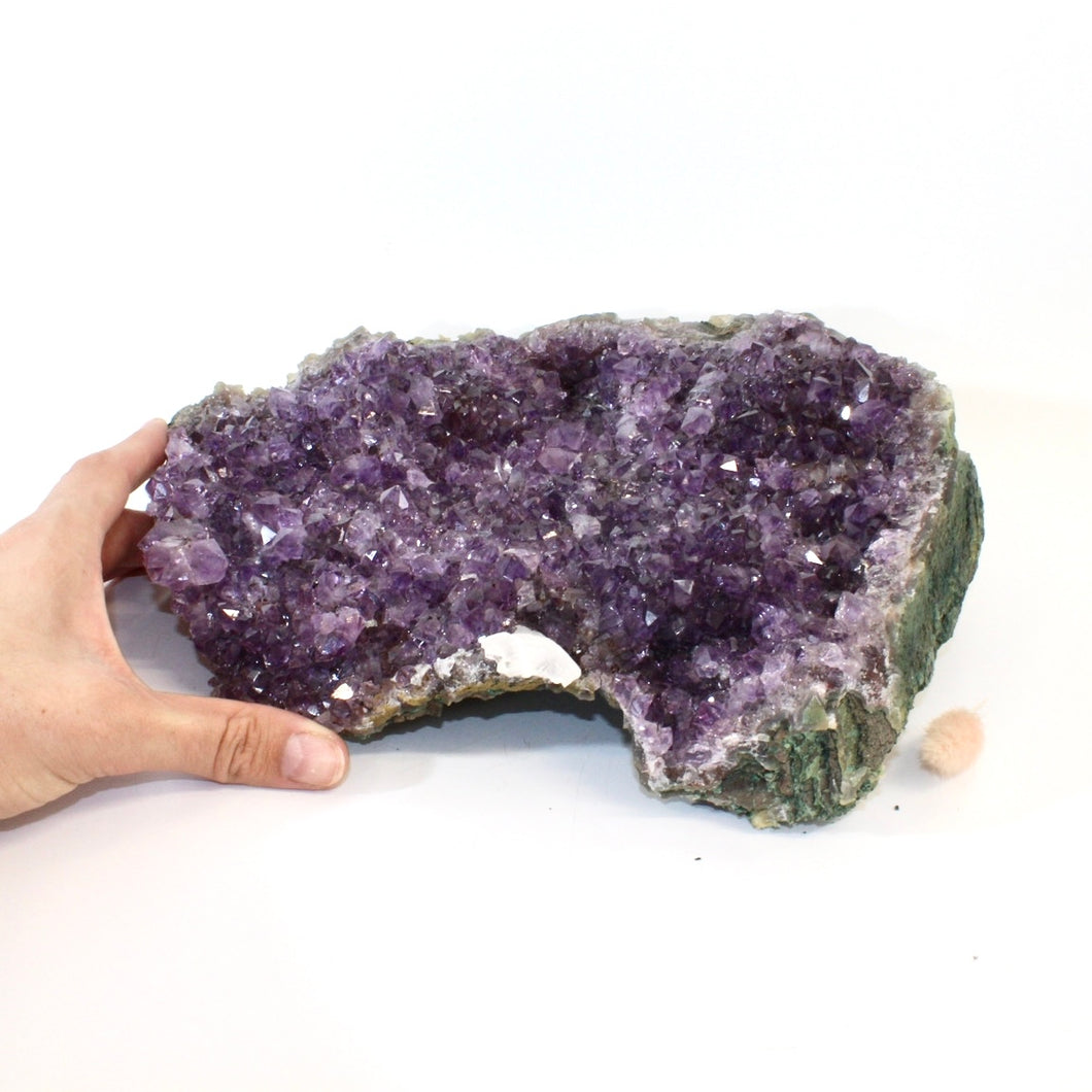 Large amethyst crystal cluster 3.58kg | ASH&STONE Crystals Shop Auckland NZ