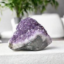 Load image into Gallery viewer, Large amethyst crystal cluster 12kg | ASH&amp;STONE Crystals Shop Auckland NZ
