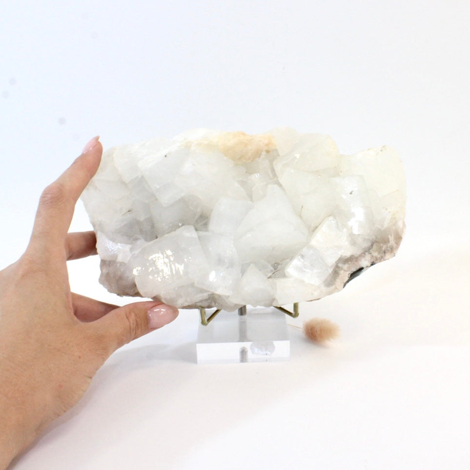 Large apophyllite crystal cluster with stand 2.2kg | ASH&STONE Crystals Shop Auckland NZ