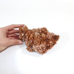 Large aragonite sputniks crystal cluster | ASH&STONE Crystals Shop Auckland NZ