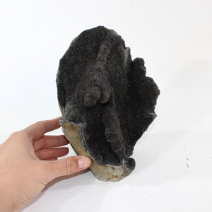 Large black amethyst crystal druzy 3kg | ASH&STONE Crystal Shop Auckland NZ