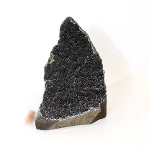 Large black amethyst crystal druzy with cut base 2.04kg | ASH&STONE Crystals Shop Auckland NZ