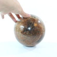 Load image into Gallery viewer, Large black moonstone polished crystal sphere 6.4kg | ASH&amp;STONE Crystal Shop Auckland NZ
