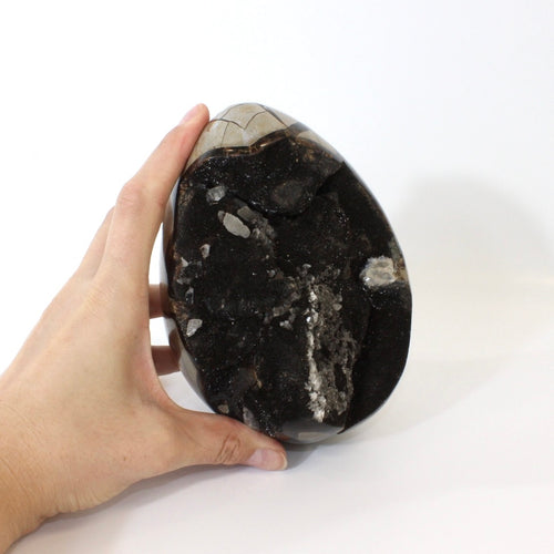 Large black septarian crystal egg 2.46kg | ASH&STONE Crystals Shop Auckland NZ