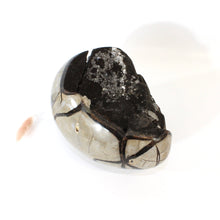 Load image into Gallery viewer, Large black septarian crystal egg 2.46kg | ASH&amp;STONE Crystals Shop Auckland NZ
