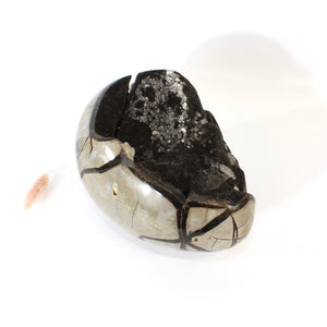 Large black septarian crystal egg 2.46kg | ASH&STONE Crystals Shop Auckland NZ