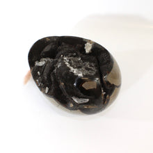 Load image into Gallery viewer, Large black septarian crystal egg 2.46kg | ASH&amp;STONE Crystals Shop Auckland NZ
