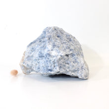 Load image into Gallery viewer, Large blue calcite crystal chunk 2.99kg | ASH&amp;STONE Crystals Shop Auckland NZ
