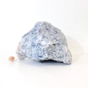 Large blue calcite crystal chunk 2.99kg | ASH&STONE Crystals Shop Auckland NZ