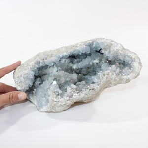 Large celestite crystal cluster 6.77kg | ASH&STONE Crystal Shop Auckland NZ