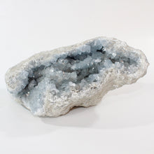 Load image into Gallery viewer, Large celestite crystal cluster 6.77kg | ASH&amp;STONE Crystal Shop Auckland NZ
