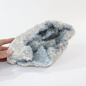 Large celestite crystal cluster 6.77kg | ASH&STONE Crystal Shop Auckland NZ