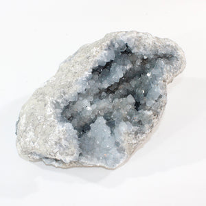 Large celestite crystal cluster 6.77kg | ASH&STONE Crystal Shop Auckland NZ