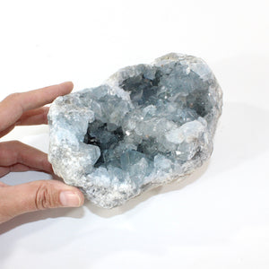 Large celestite crystal cluster 3kg