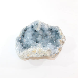 Large celestite crystal cluster 3.71kg | ASH&STONE Crystal Shop Auckland NZ