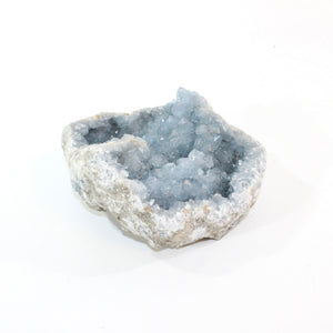 Large celestite crystal cluster 3.71kg | ASH&STONE Crystal Shop Auckland NZ