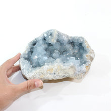 Load image into Gallery viewer, Large celestite crystal cluster 3.71kg | ASH&amp;STONE Crystal Shop Auckland NZ
