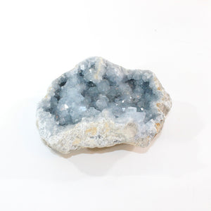 Large celestite crystal cluster 3.71kg | ASH&STONE Crystal Shop Auckland NZ