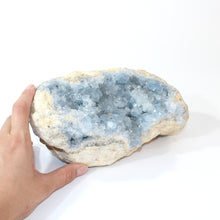 Load image into Gallery viewer, Large celestite crystal cluster 5.2kg | ASH&amp;STONE Crystals Shop Auckland NZ
