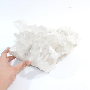 Large high-grade clear quartz crystal cluster 8kg | ASH&STONE Crystal Shop Auckland NZ