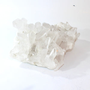 Large high-grade clear quartz crystal cluster 8kg | ASH&STONE Crystal Shop Auckland NZ