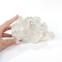 Load image into Gallery viewer, Large clear quartz crystal cluster 2.77kg | ASH&amp;STONE Crystal Shop Auckland NZ
