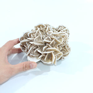 Large desert rose crystal cluster 1.31kg