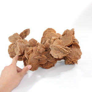 Large Moroccan desert rose crystal cluster 9kg | ASH&STONE Crystal Shop Auckland NZ