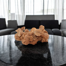 Load image into Gallery viewer, Large Moroccan desert rose crystal cluster 9kg | ASH&amp;STONE Crystal Shop Auckland NZ
