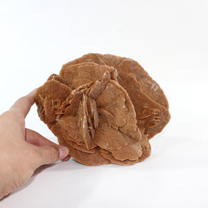 Large Moroccan desert rose crystal cluster 2.4kg | ASH&STONE Crystal Shop Auckland NZ