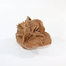 Load image into Gallery viewer, Large Moroccan desert rose crystal cluster 2.4kg | ASH&amp;STONE Crystal Shop Auckland NZ
