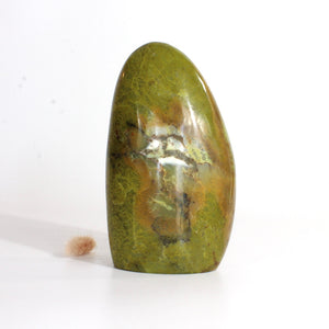 Large green opal polished crystal free form 1.38kg | ASH&STONE Crystals Shop Auckland NZ