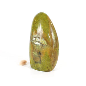 Large green opal polished crystal free form 1.38kg | ASH&STONE Crystals Shop Auckland NZ