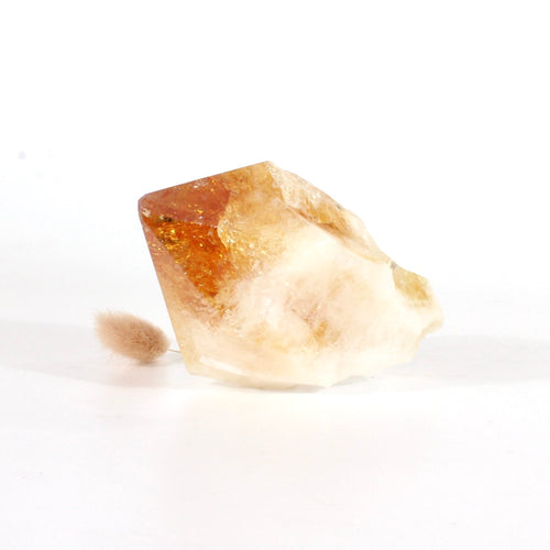 Large citrine crystal point | ASH&STONE Crystals Shop Auckland NZ