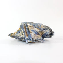 Load image into Gallery viewer, Large kyanite crystal cluster 2.18kg | ASH&amp;STONE Crystal Shop Auckland NZ
