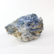 Load image into Gallery viewer, Large kyanite crystal cluster 3.37kg | ASH&amp;STONE Crystal Shop Auckland NZ
